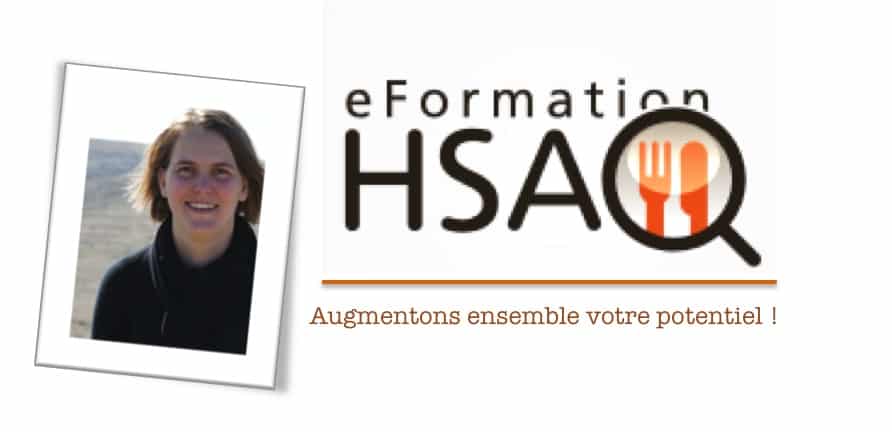 eFormationHSAQ Formation-en-ligne